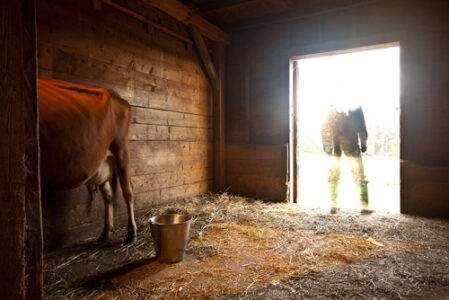 Farmers in Training: A City Dweller Gets Lessons in Harvesting, Milking and the Meaning of Life Image